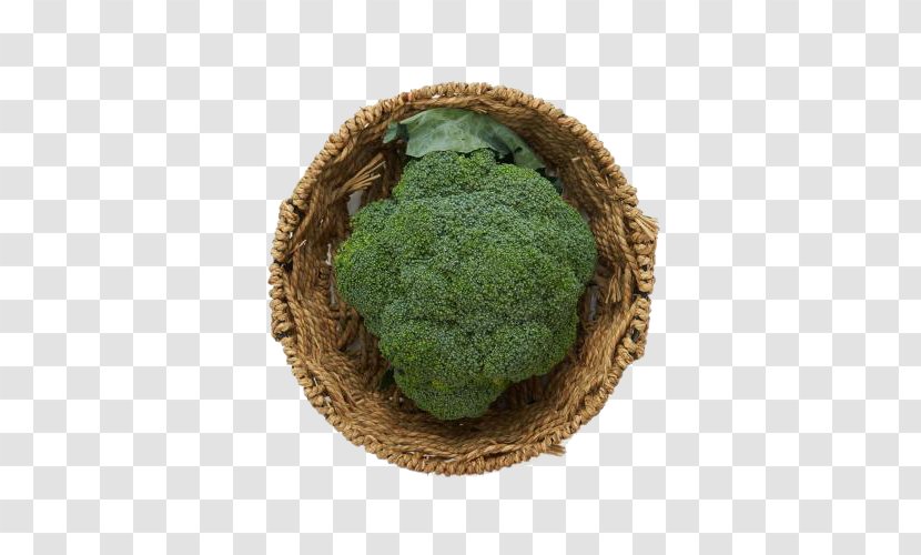 Superfood Broccoli Vegetable - Grass - Fresh Transparent PNG