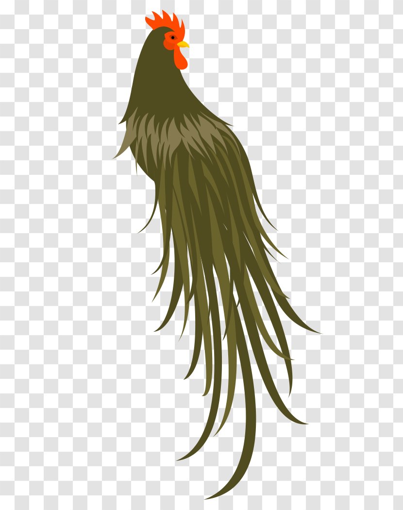 Rooster Bird Of Prey Beak Feather - Chicken As Food Transparent PNG