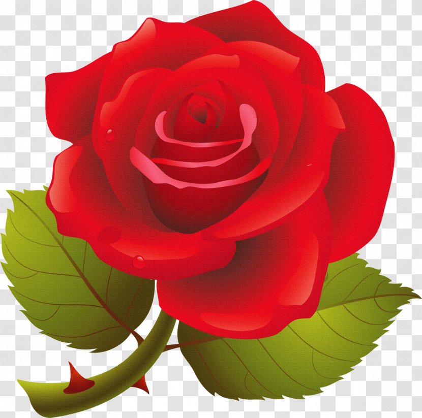 Rose Clip Art - Flower - Illust Transparent PNG