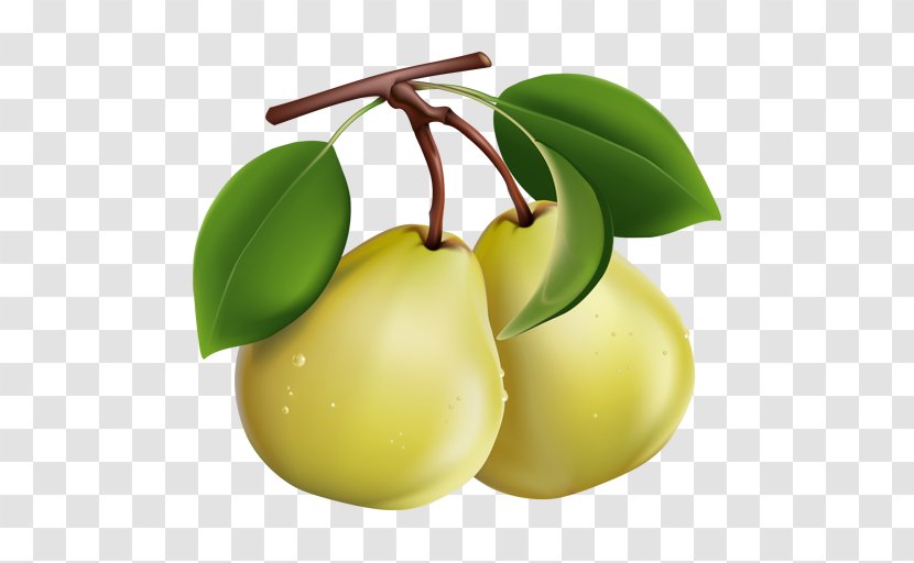 Pear Drop Perry Clip Art - Fruit Tree - Apple Transparent PNG