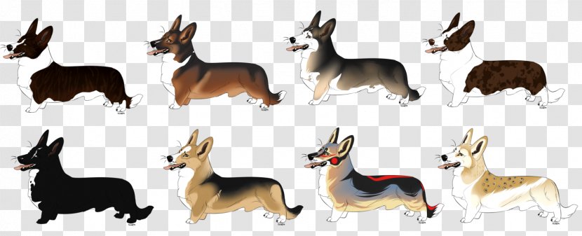 Dog Breed Pembroke Welsh Corgi Cardigan German Shepherd Appaloosa - Like Mammal Transparent PNG