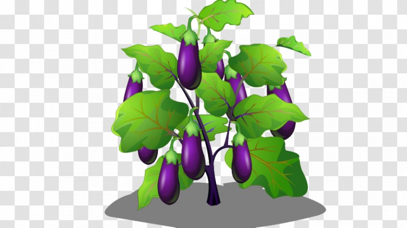 Eggplant Cartoon - Purple - Tree Transparent PNG