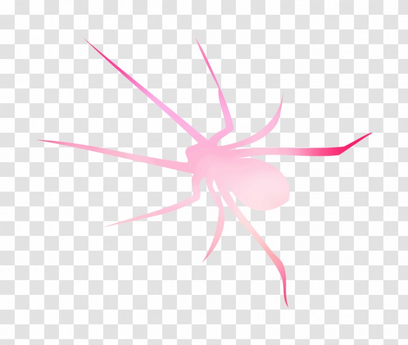 Insect Desktop Wallpaper Computer Font Pink M - Leaf Transparent PNG