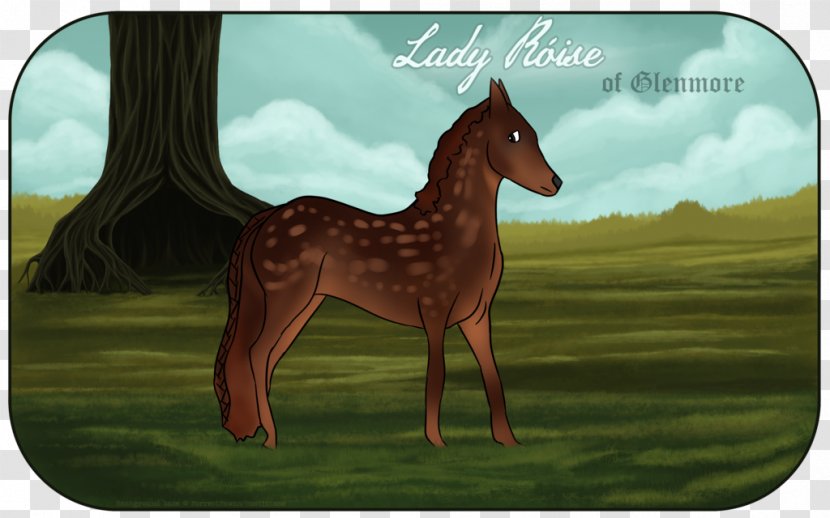 Foal Pony Giraffe Mustang Colt - Giraffids Transparent PNG