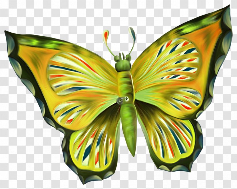 Monarch Butterfly Clip Art - Milkweeds Transparent PNG