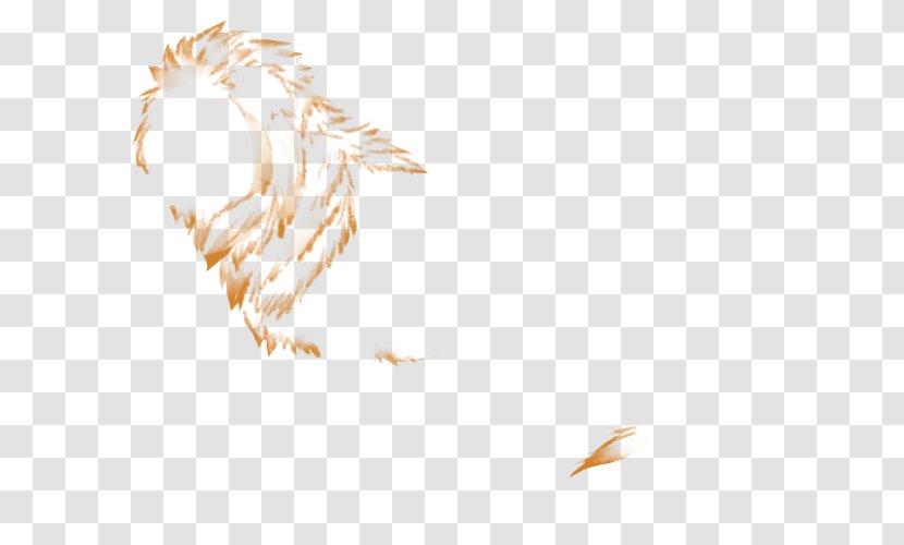 Commodity Line - Feather Transparent PNG