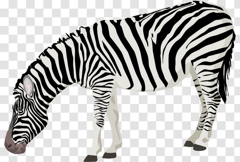Zebra Clip Art - Black And White - Free Cliparts Animals Transparent PNG