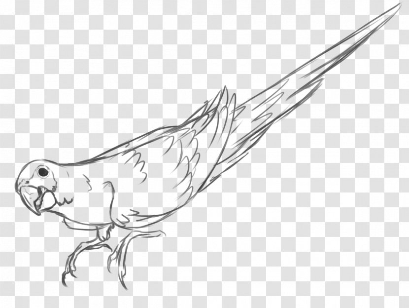 Beak Feather Marine Mammal Line Art Sketch - Neck Transparent PNG