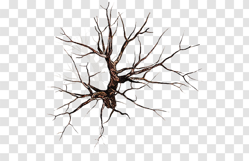 Branch Twig Tree Plant Leaf Transparent PNG