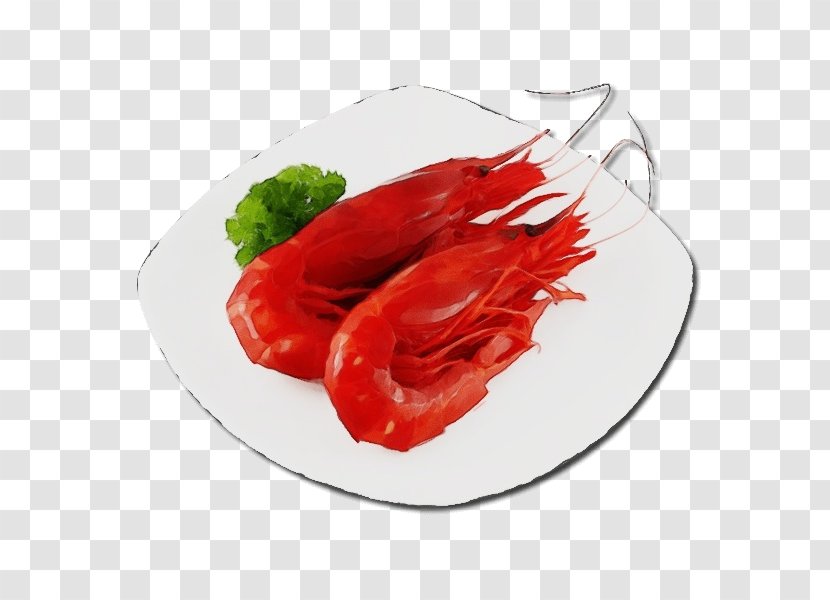 Piquillo Pepper Chili Food Lobster Plate - Watercolor - Capsicum Bell Transparent PNG