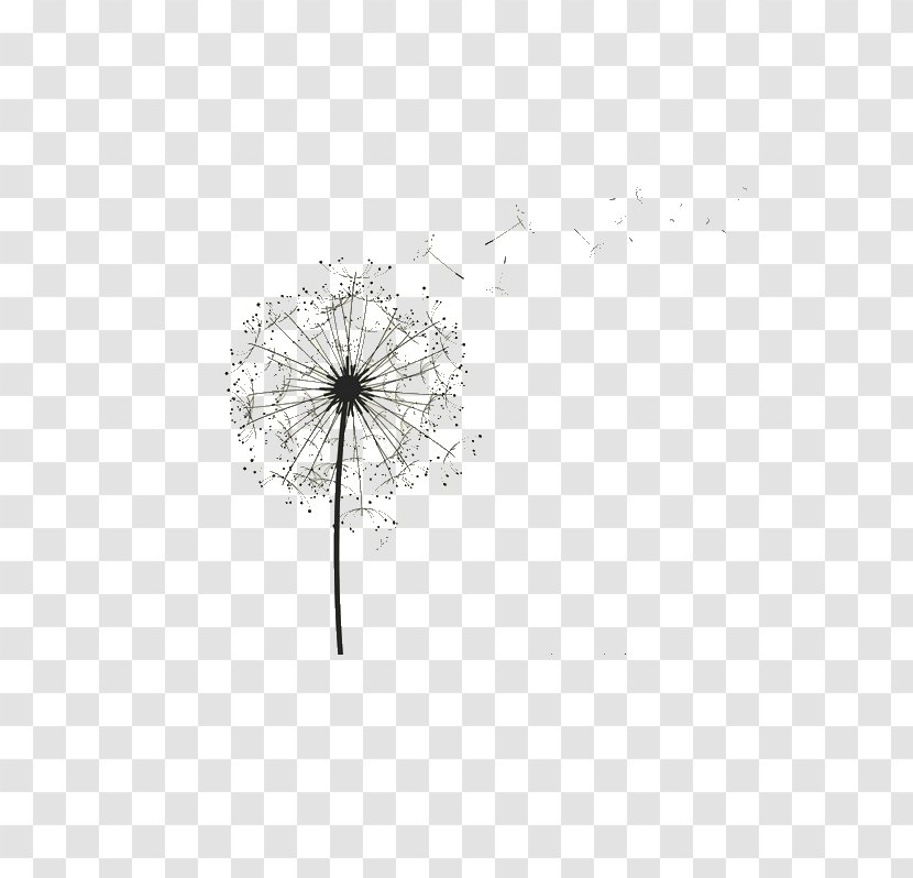 Black And White Pattern - Monochrome - Dandelion Transparent PNG