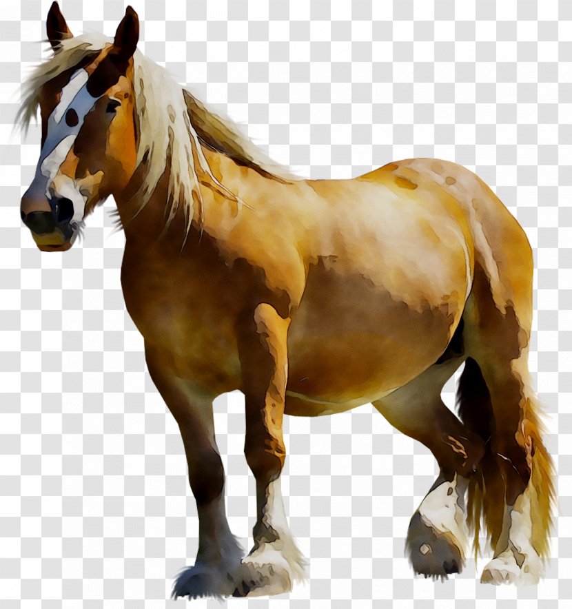 Clip Art Mustang Clydesdale Horse Arabian Transparent PNG