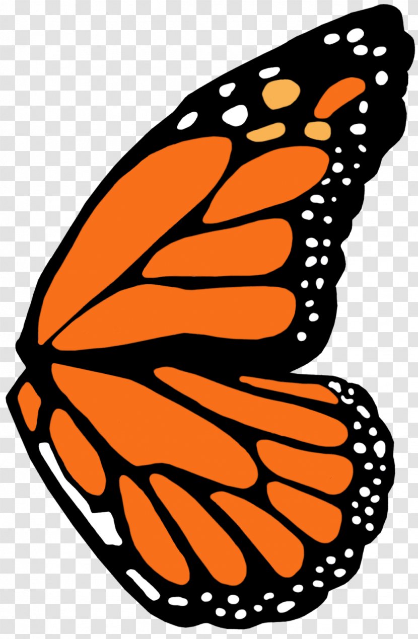 Monarch Butterfly Nymphalidae Clip Art - Brush Footed - Wings Transparent PNG