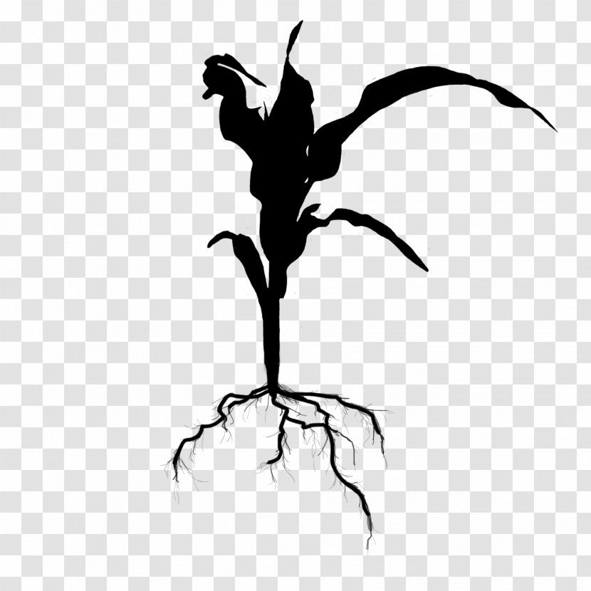 Drawing Visual Arts /m/02csf Silhouette Illustration - Botany - Branching Transparent PNG