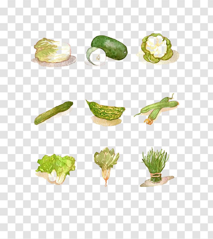 Wax Gourd Vegetable Watercolor Painting - Grass - Element Transparent PNG