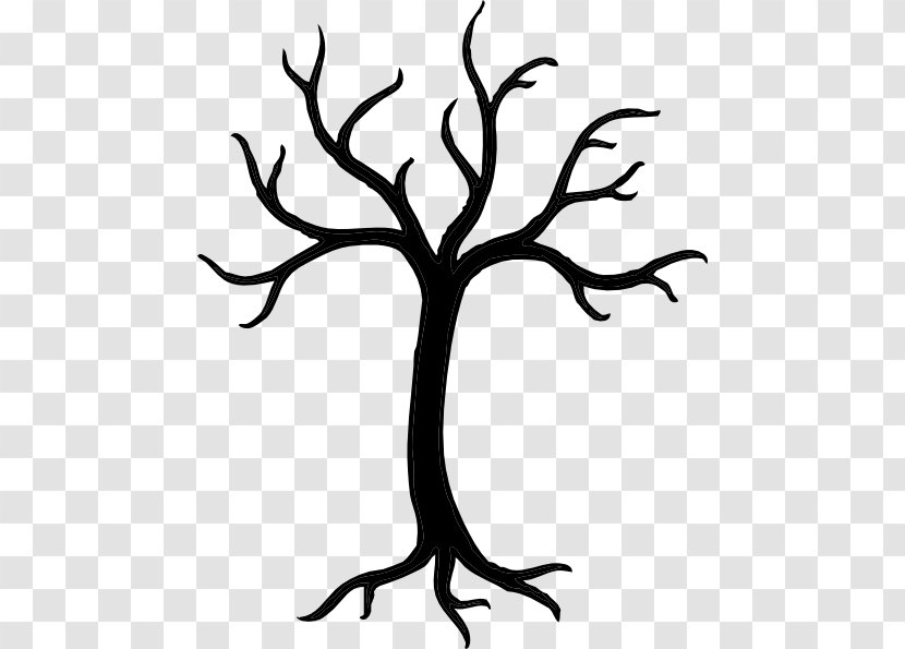 Tree Trunk Drawing - Branch - Blackandwhite Transparent PNG
