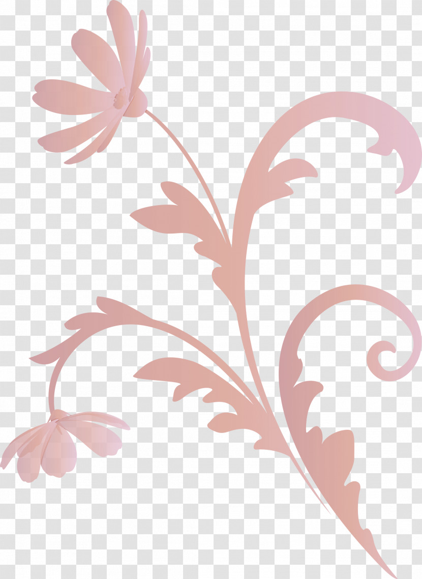 Flower Frame Floral Frame Transparent PNG