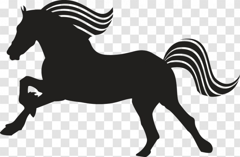 Friesian Horse Mustang Arabian Peruvian Paso Appaloosa Transparent PNG