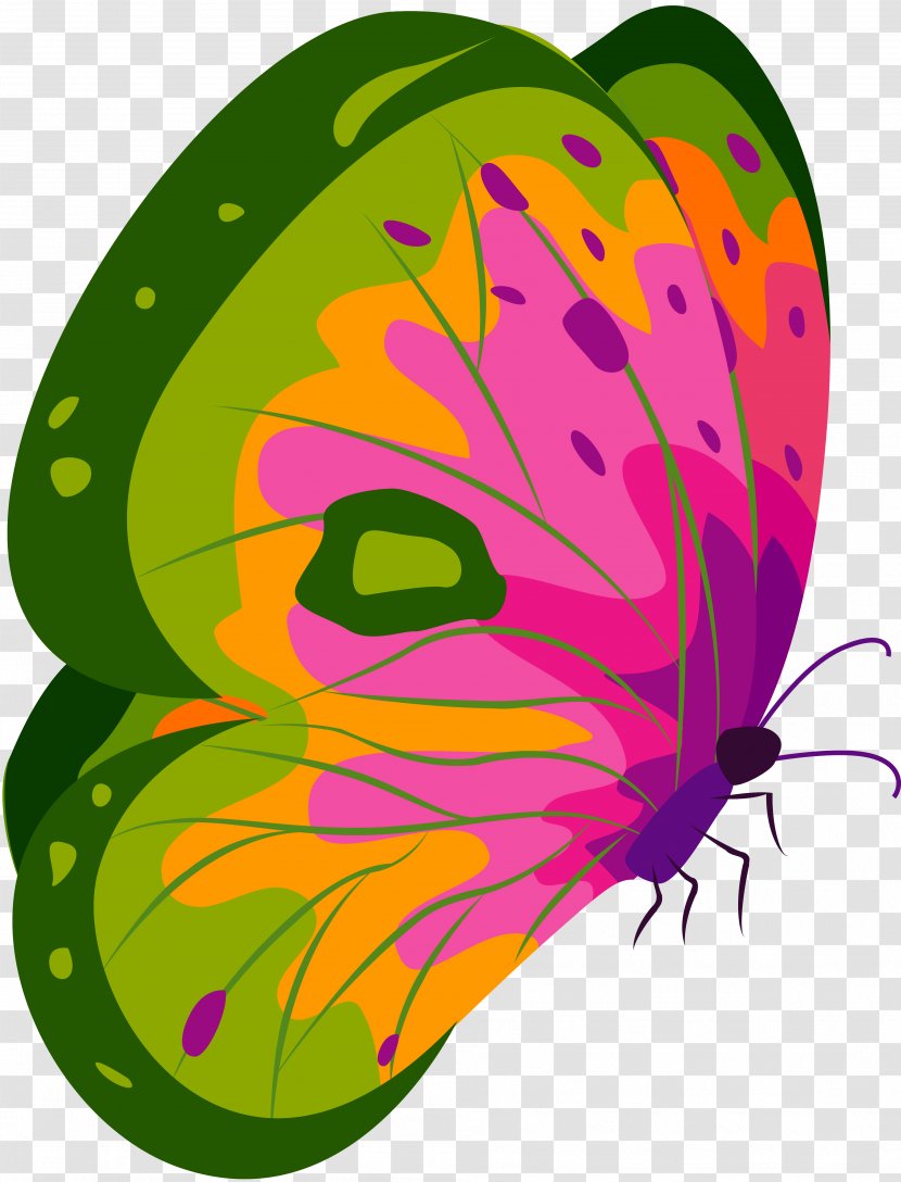 Monarch Butterfly Nymphalidae Clip Art - Pollinator - Vector Transparent PNG