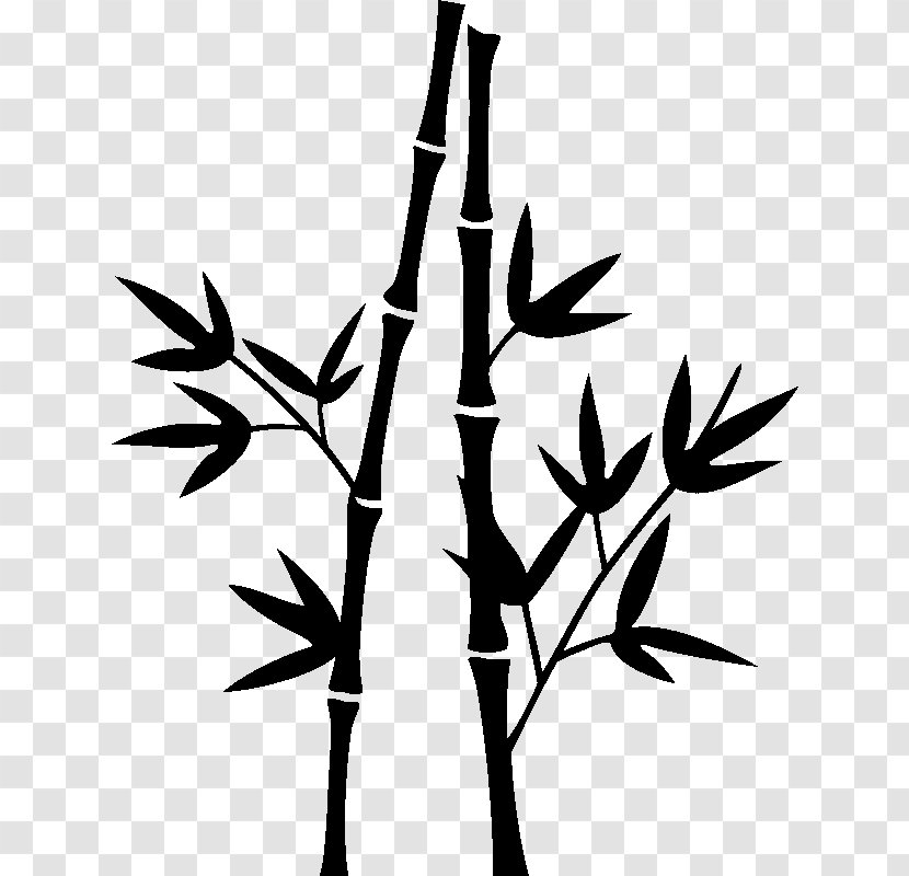 Drawing Sticker Color Clip Art - Branch - Bamboo Forest Transparent PNG
