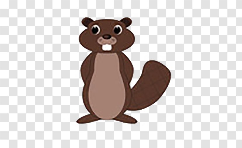 Beaver Rodent Illustration - Carnivoran - Meng Transparent PNG