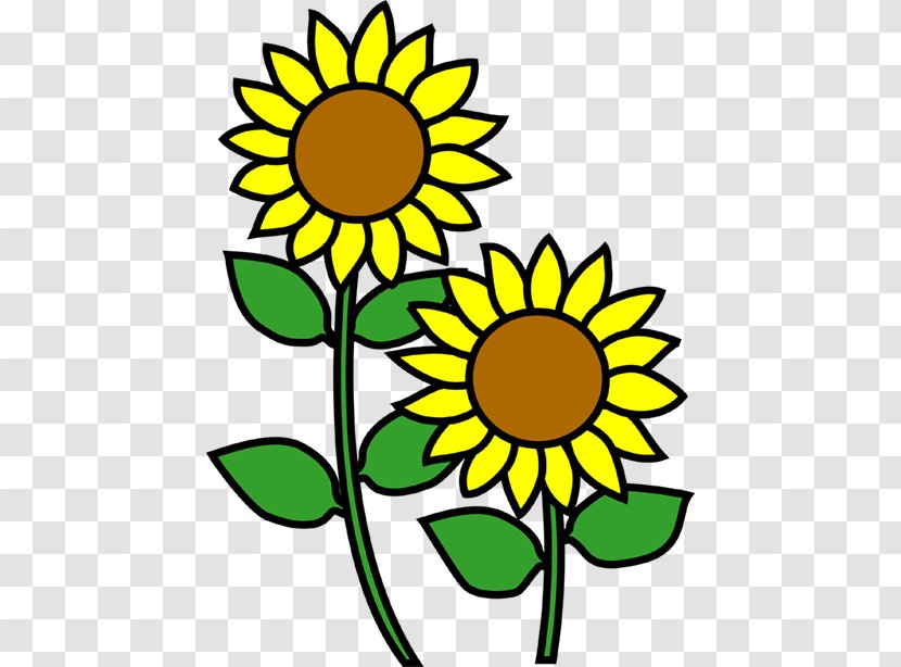 Common Sunflower りゅうおうのおしごと! 7 Clip Art - Seed - Flower Illust Transparent PNG