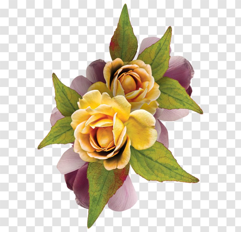 Garden Roses Flower Floral Design Birthday Clip Art - Flowers Backgrounds Transparent PNG