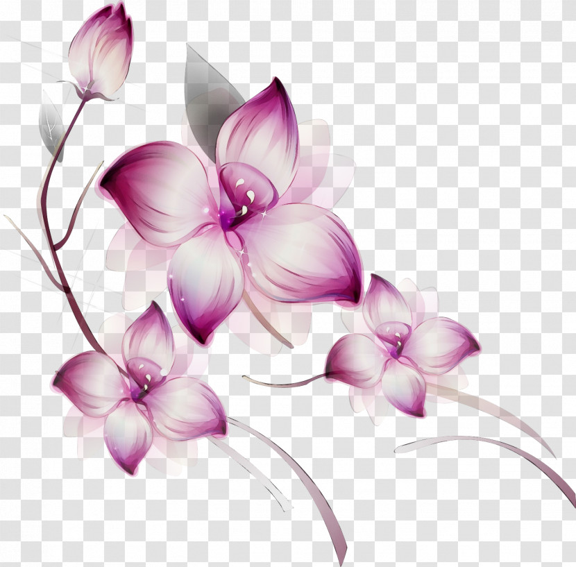 Violet Lilac Purple Petal Flower Transparent PNG