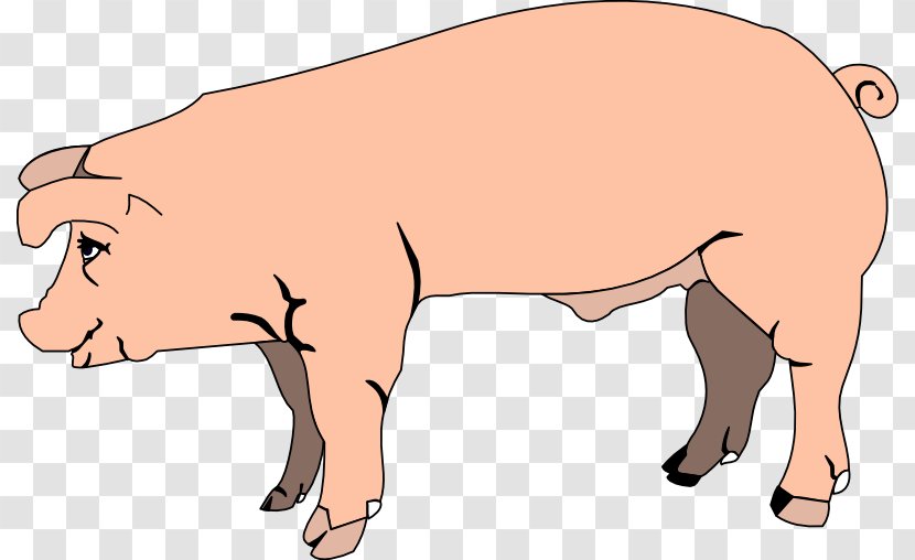 Domestic Pig Free Content Fetal Clip Art - Vertebrate - Farm Cliparts Pen Transparent PNG