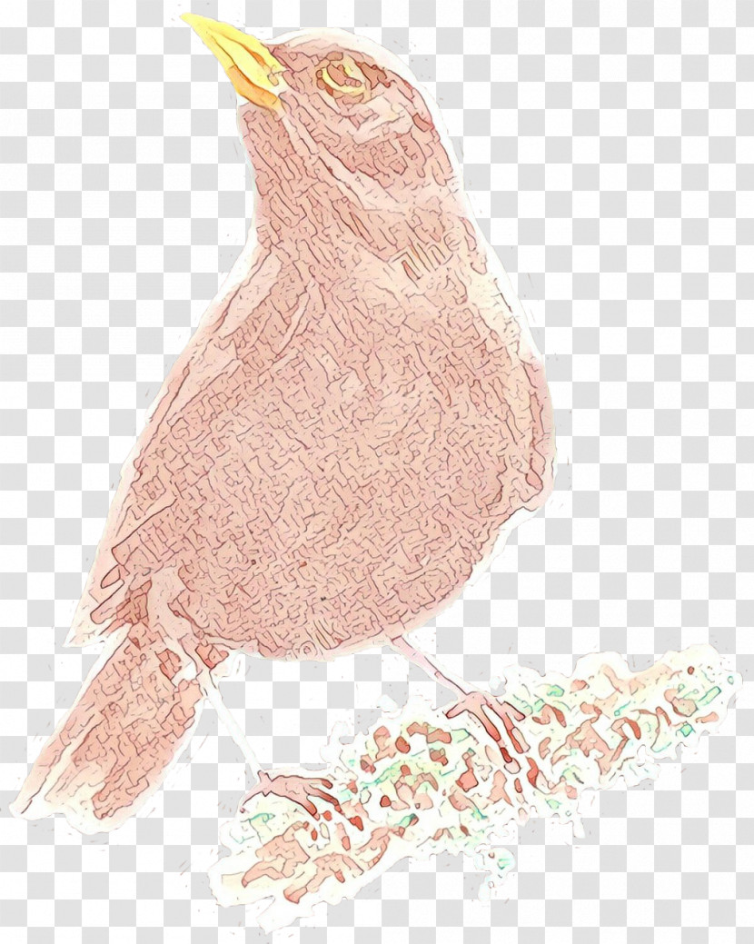 Penguin Transparent PNG