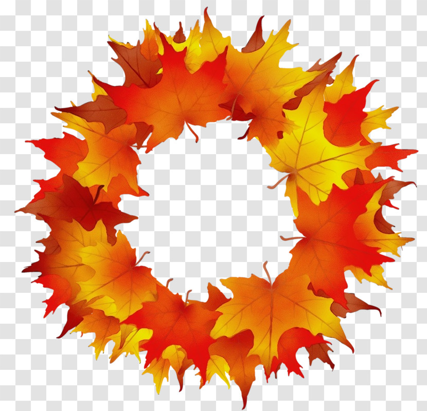 Maple Leaf Transparent PNG