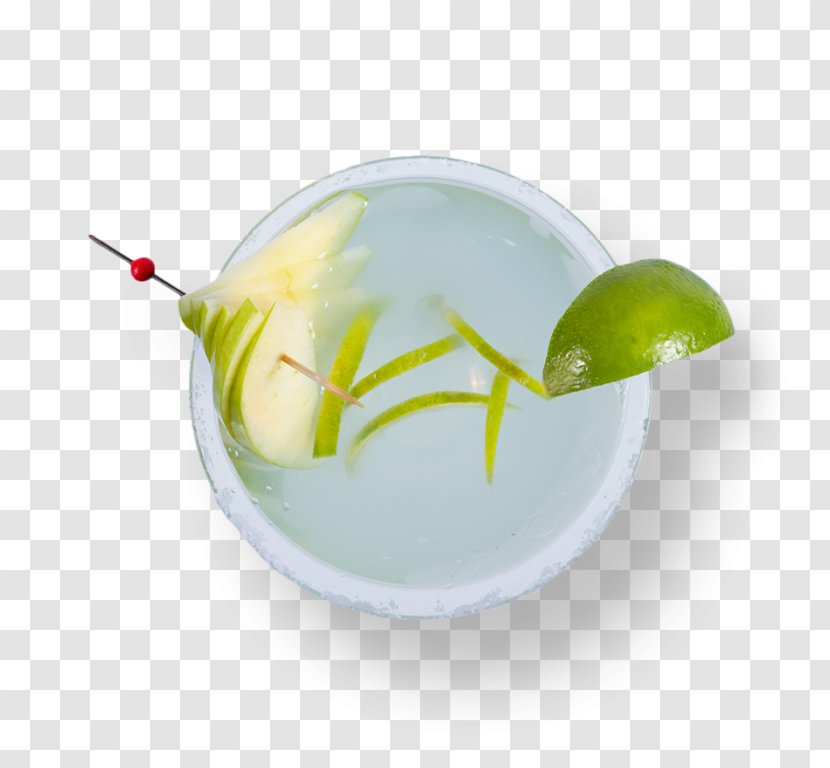 Limeade Cocktail Garnish Lemon LiquidM Inc. - Gin And Tonic - Scream 4 2011 Courteney Cox Transparent PNG
