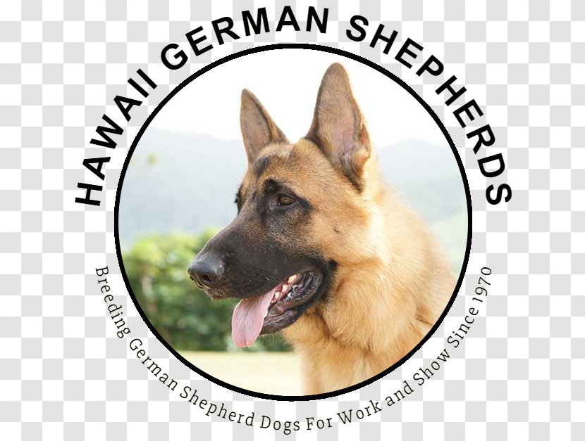Logo Patricia's Spiritwear, LLC Maryland Nightclub - Department Of Agriculture - German Dog Transparent PNG