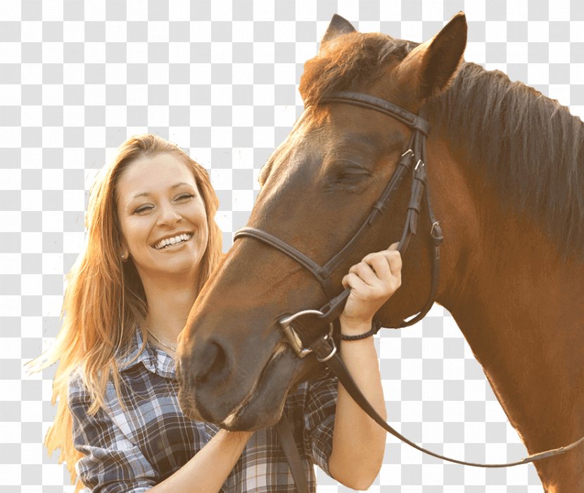 Horse Equestrian Bridle Leavenworth Stallion - Rein Transparent PNG