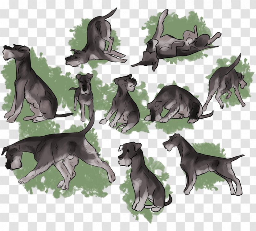 Canidae Dog Fauna Illustration Mammal - Creative Black Hole Transparent PNG