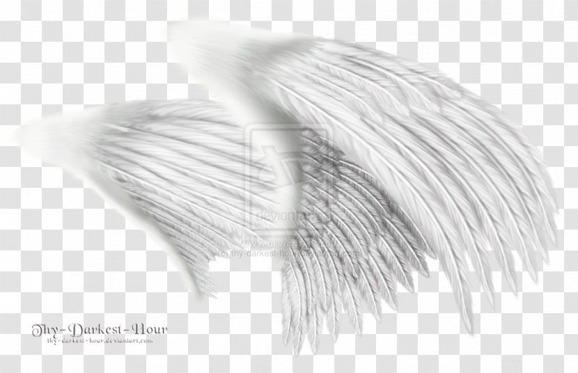 Angel Clip Art - White Wings Transparent PNG