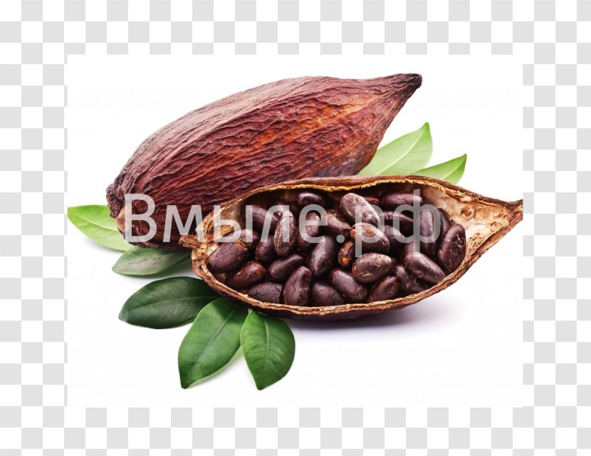 Cocoa Bean Solids Hot Chocolate Liquor - Superfood Transparent PNG
