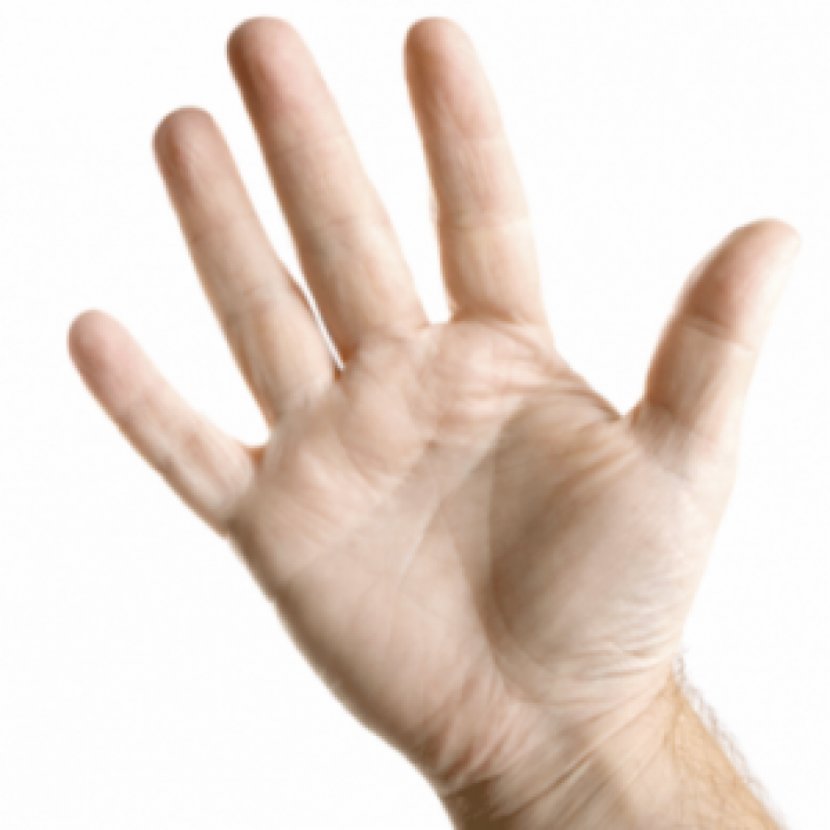 Hand Finger Fist Thumb Digit - Fact - Fingers Transparent PNG