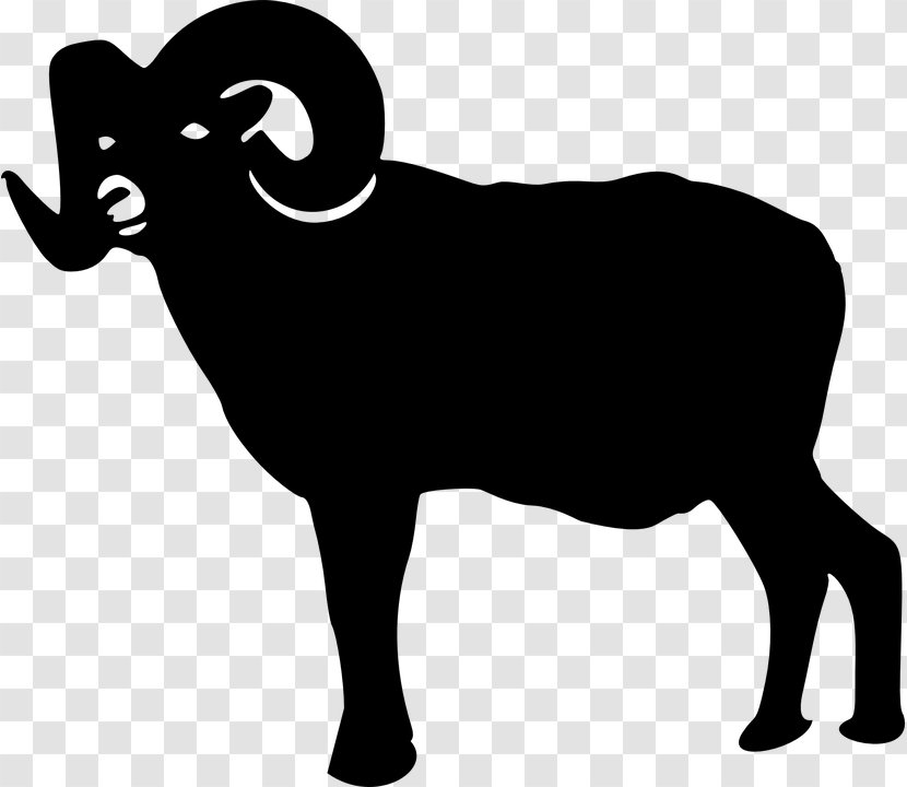 Sheep Silhouette Clip Art - Livestock Transparent PNG