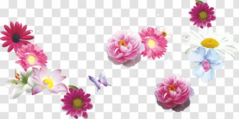 Flower Chrysanthemum Floral Design Pink - Petal - Chamomile Transparent PNG