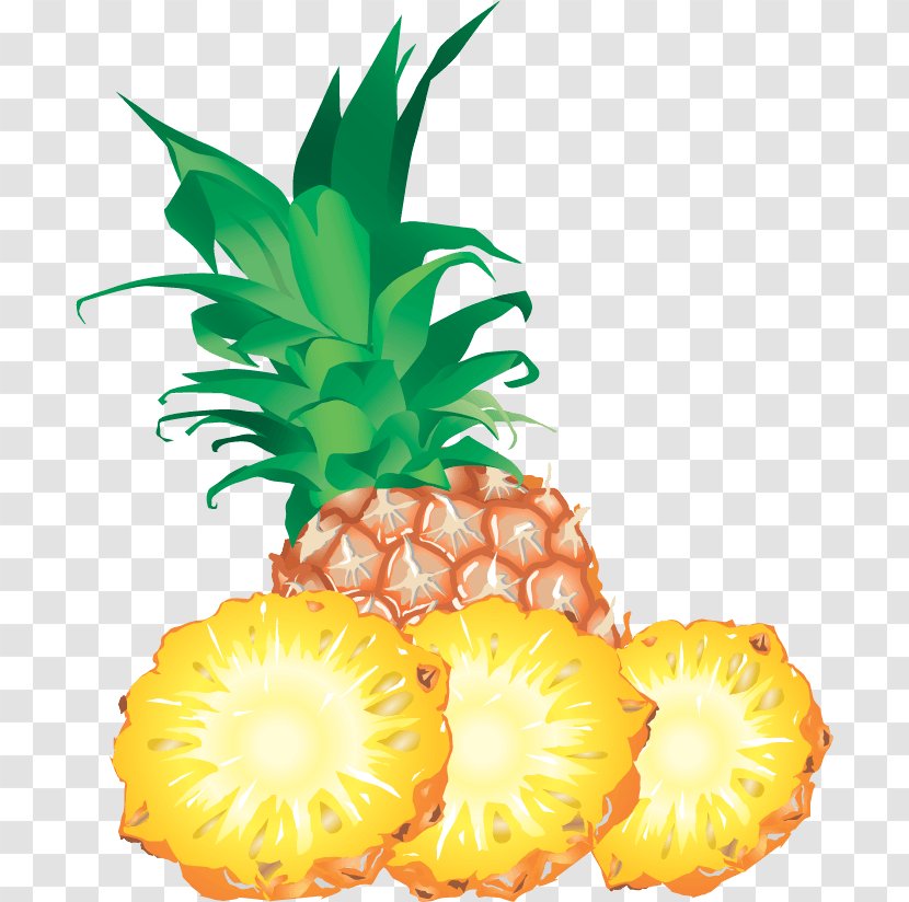 Pineapple Slice Clip Art - Ananas - Image Download Transparent PNG