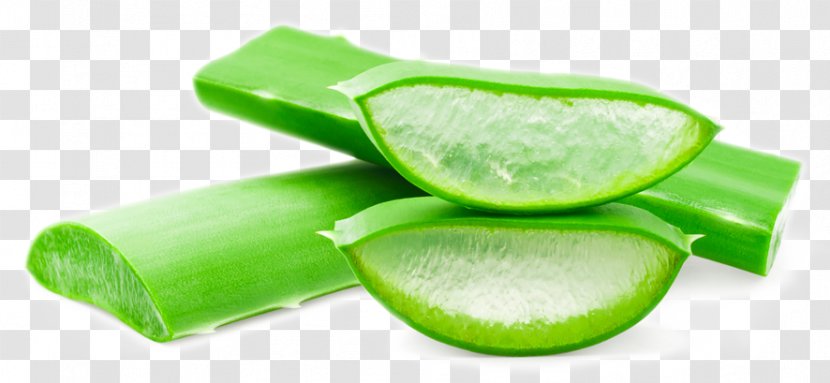 Aloe Vera Forever Living Products Stock Photography Gel - Lime Transparent PNG