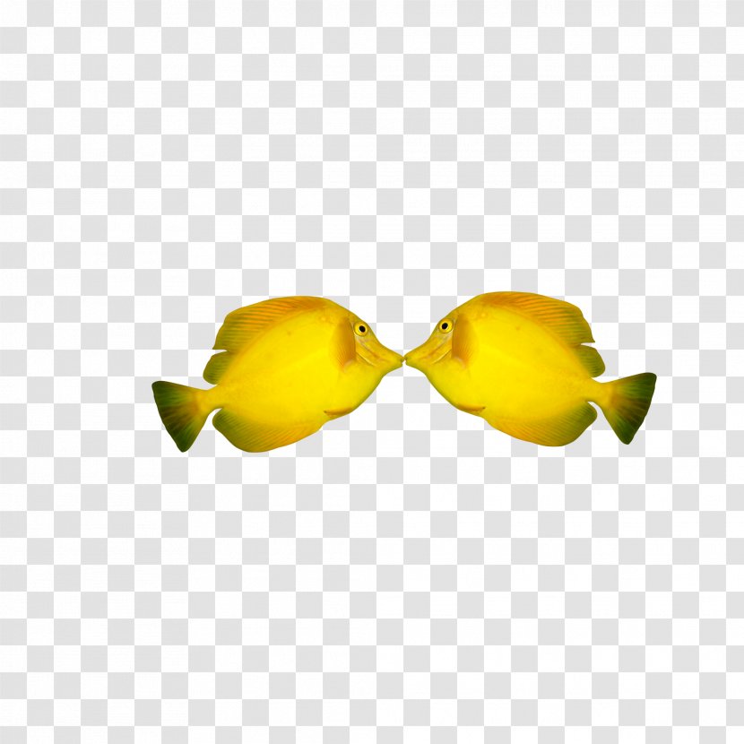 Icon - Fruit - Pisces Transparent PNG