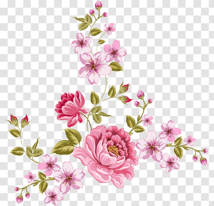 Rose - Cherry Blossom - Flora Transparent PNG
