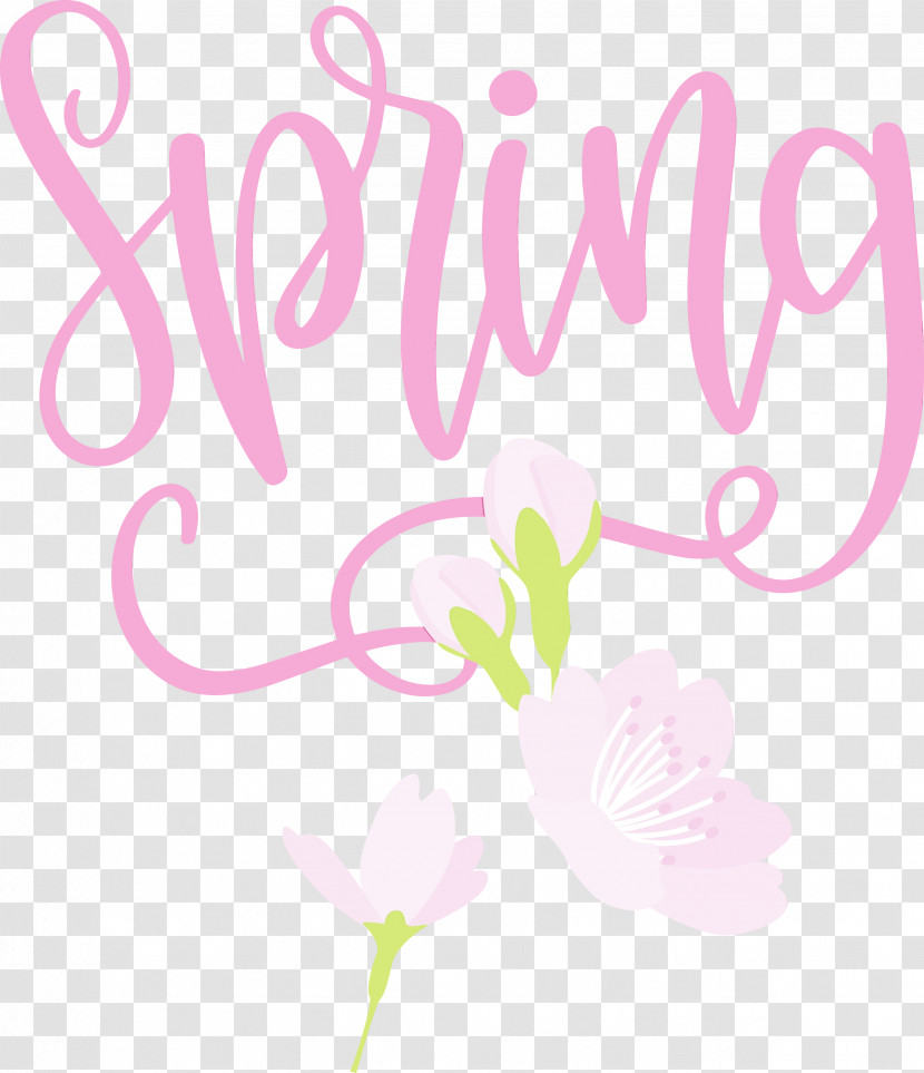 Floral Design Transparent PNG