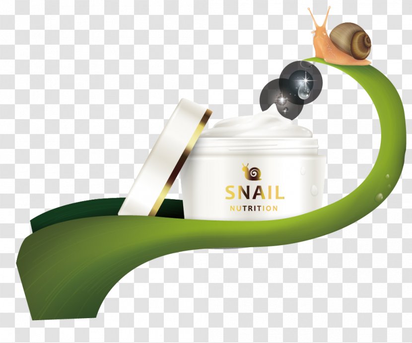 Euclidean Vector - Green - Snail Skin Care Products Posters Transparent PNG