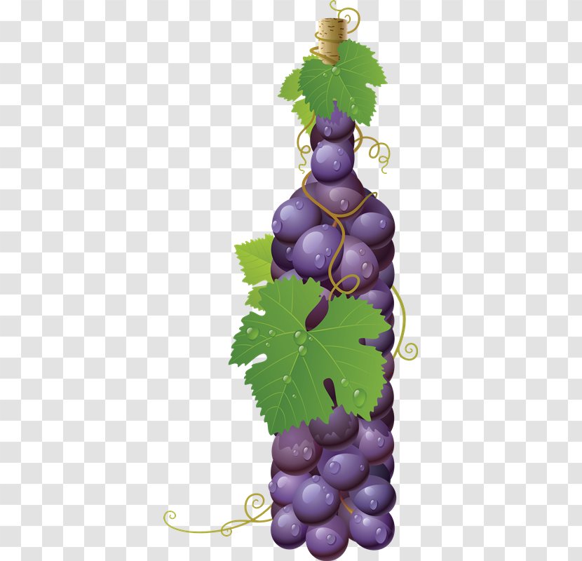 Common Grape Vine White Wine - Plant - UVAS Transparent PNG