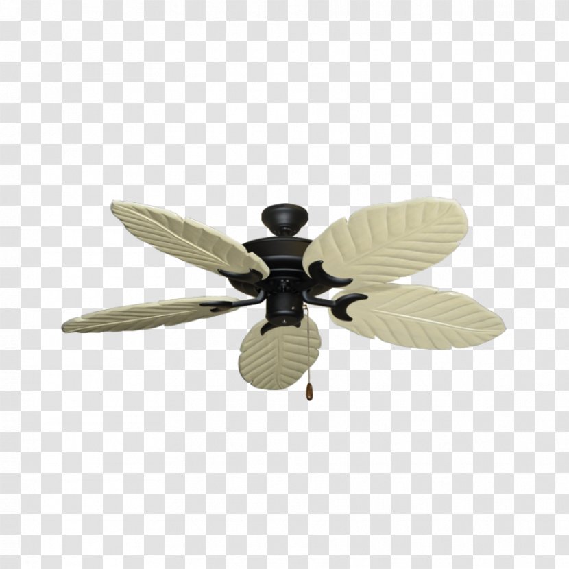 Lighting Ceiling Fans - Light - Palm Blade Transparent PNG