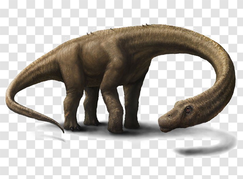 Dreadnoughtus Dinosaur Size Tyrannosaurus World's Largest - Fauna Transparent PNG