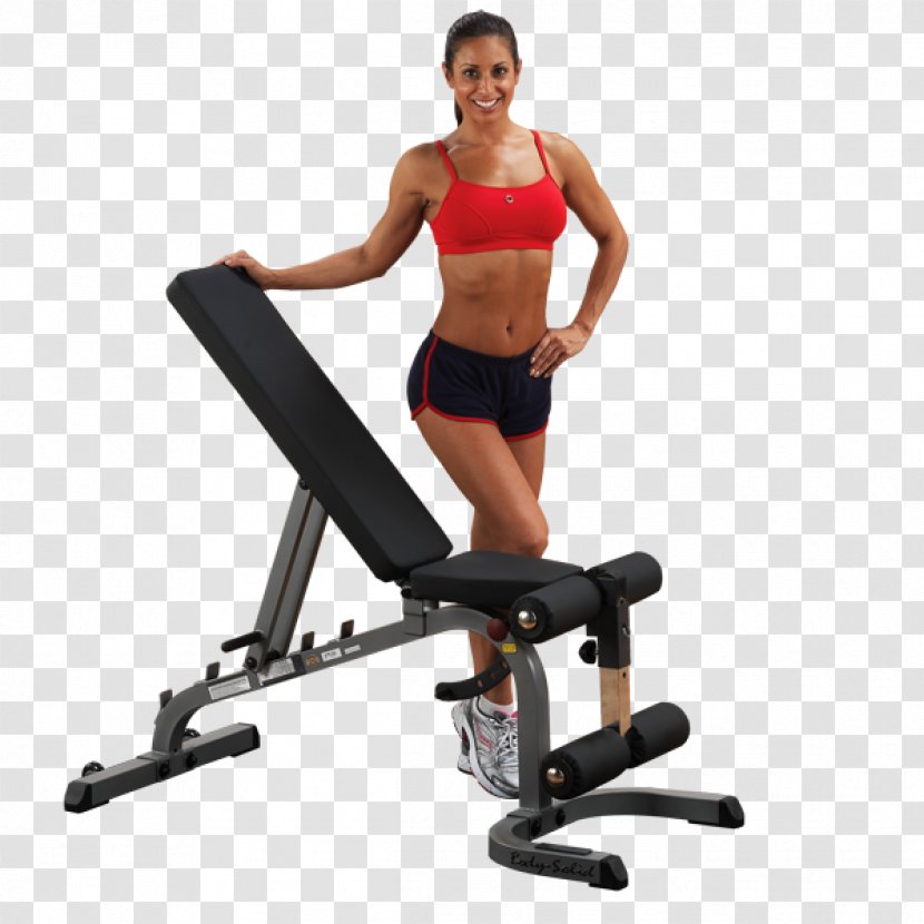 Body Solid Flat Incline Decline Bench Heavy Duty Strength Training Exercise - Cartoon - Back Transparent PNG